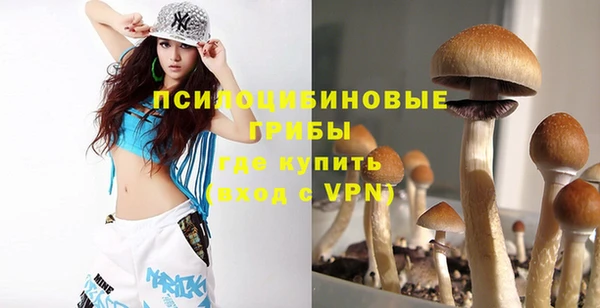 дмт Алексин