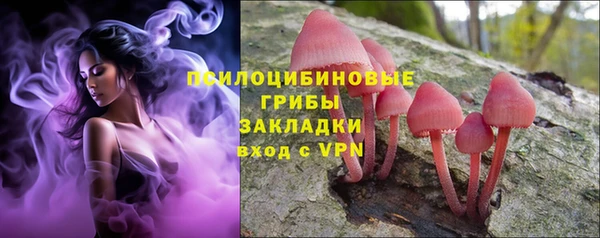 тгк Алексеевка