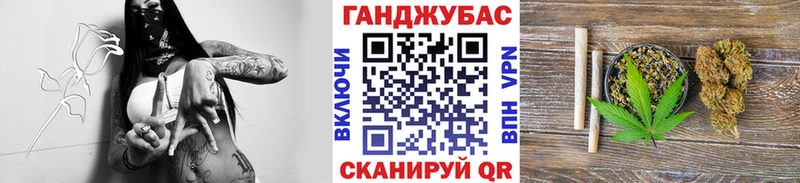 где купить   Палласовка  Бошки марихуана тримм 